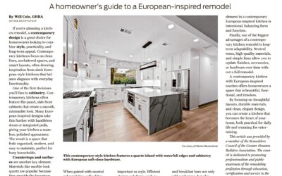 Contemporary Kitchens Article